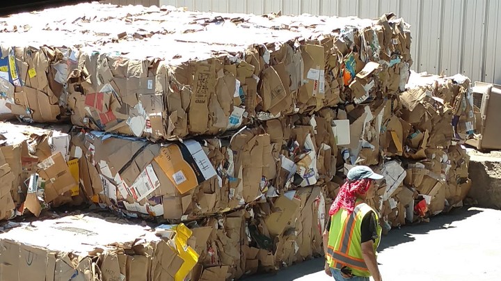 Cardboard bales
