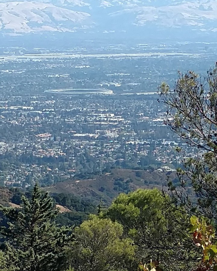 Apple Ring from Ridge