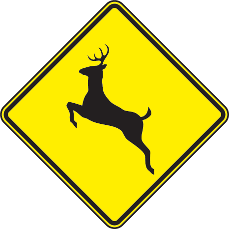 Deer Crossing