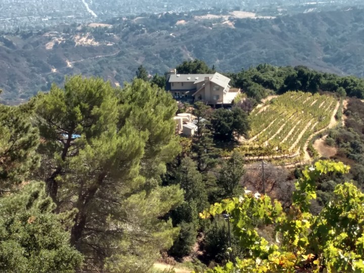 Mogul Home with Private Vineyard