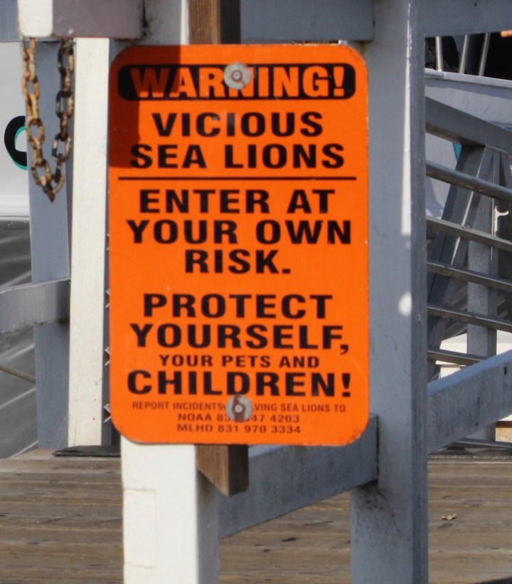 scarysealionsign-2017