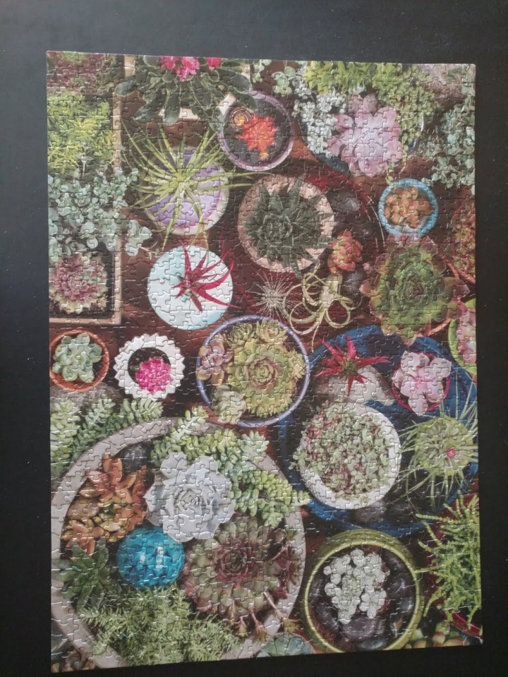 succulents puzzle